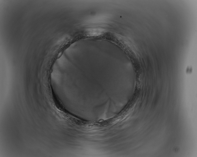 X0000101711441200808071211