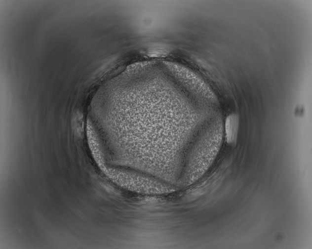 X0000101711443200808071211
