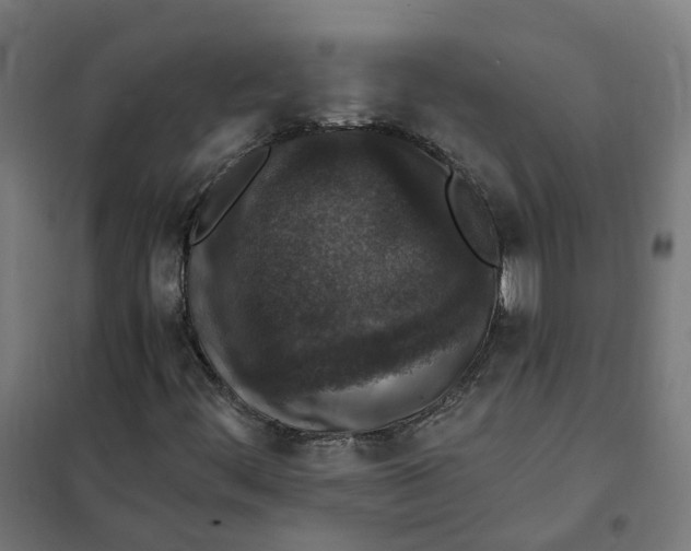 X0000101711444200808071211