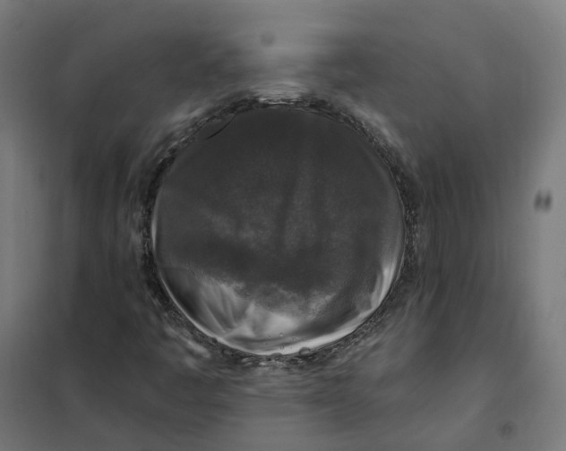 X0000101711445200808071211