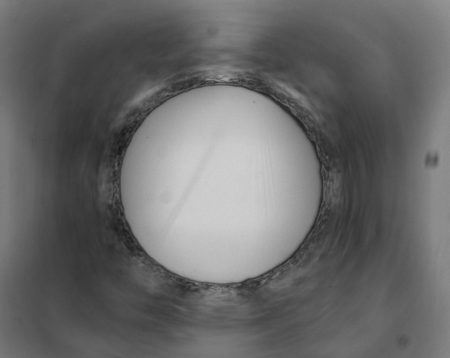 X0000101711446200808071211