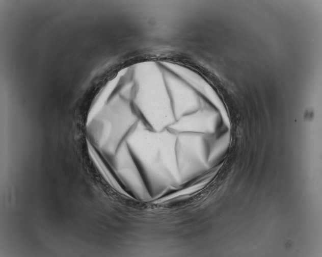 X0000101711447200808071211