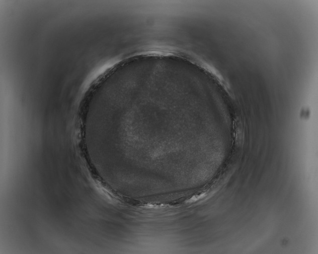 X0000101711448200808071211