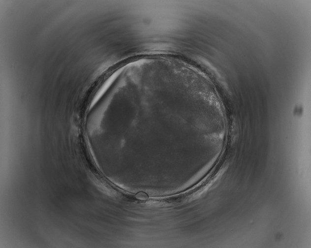 X0000101711449200808071211