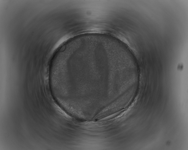 X0000101711450200808071211