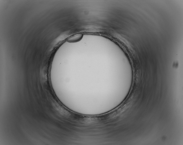 X0000101711451200808071211
