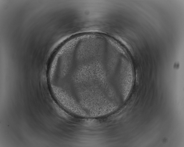 X0000101711452200808071211