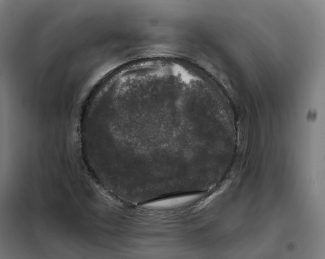 X0000101711453200808071211