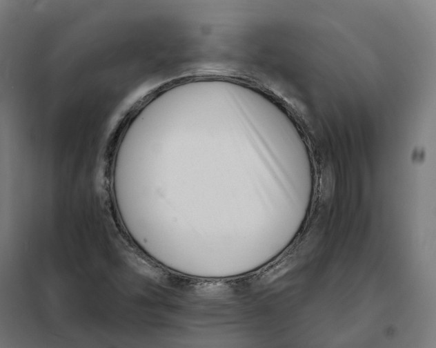 X0000101711454200808071211