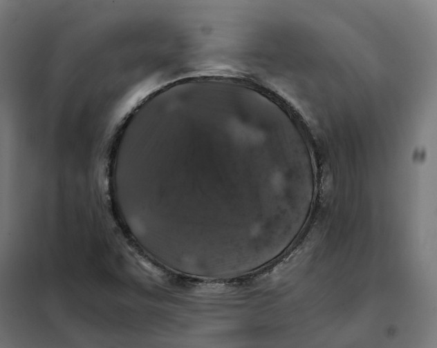 X0000101711455200808071211