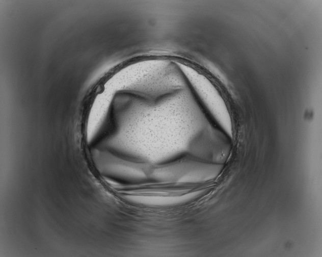 X0000101711456200808071211
