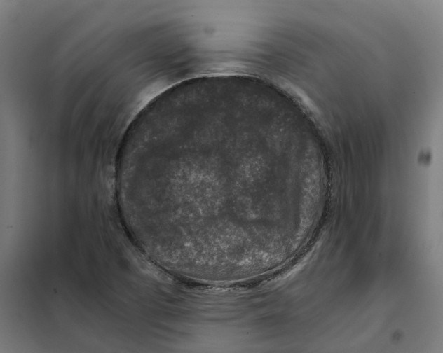 X0000101711457200808071211