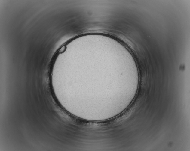 X0000101711458200808071211