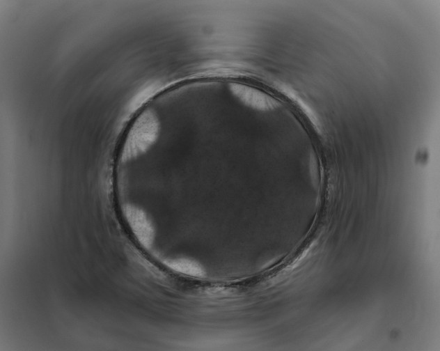 X0000101711459200808071211