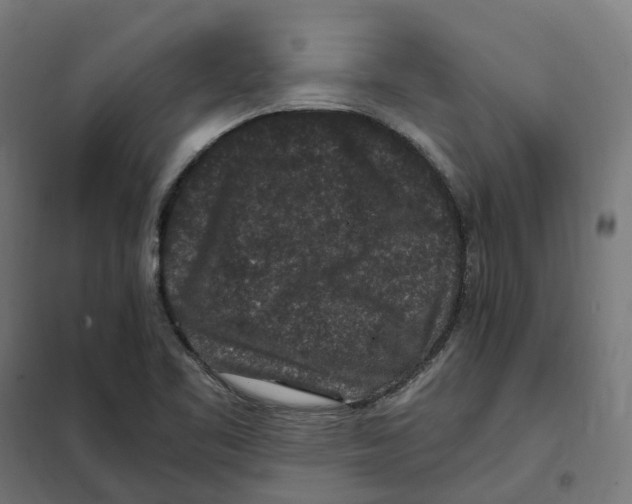 X0000101711461200808071211