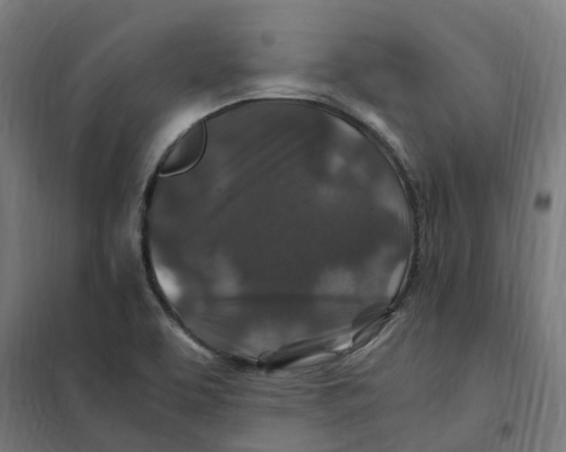 X0000101711463200808071211
