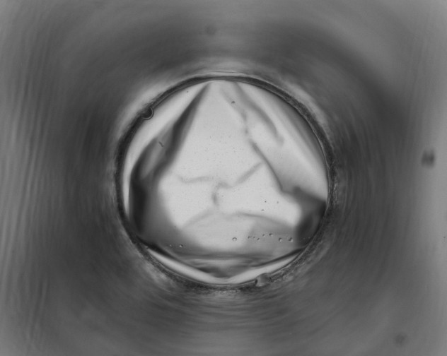 X0000101711464200808071211