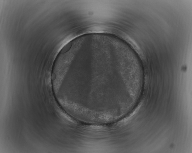X0000101711465200808071211