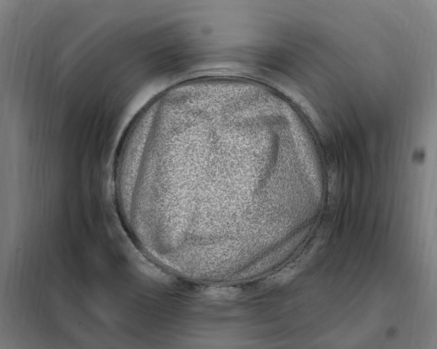 X0000101711466200808071211