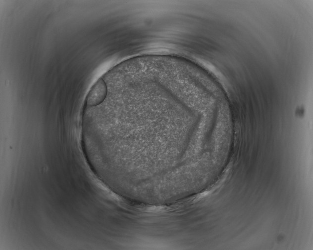 X0000101711467200808071211