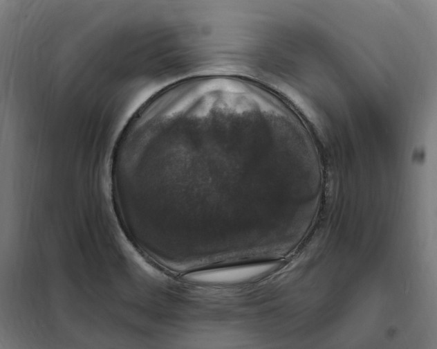 X0000101711468200808071211