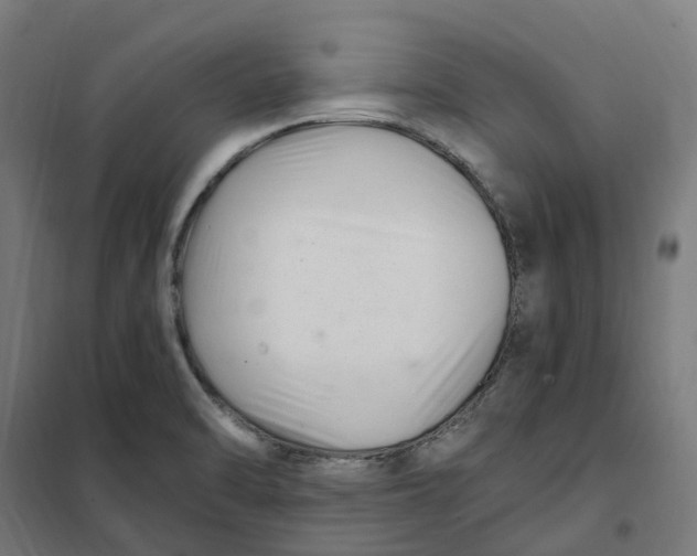 X0000101711470200808071211