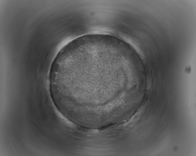 X0000101711471200808071211