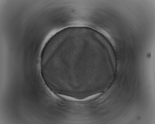 X0000101711472200808071211
