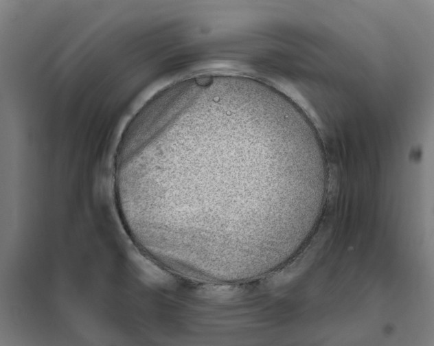X0000101711474200808071211