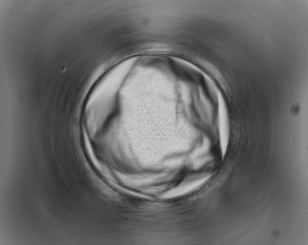 X0000101711475200808071211