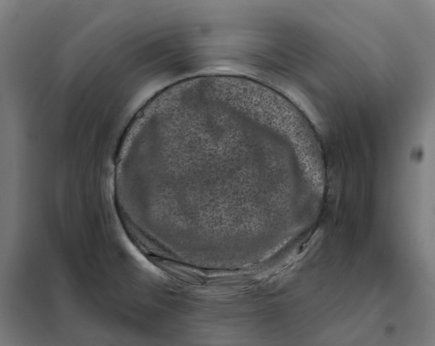 X0000101711476200808071211