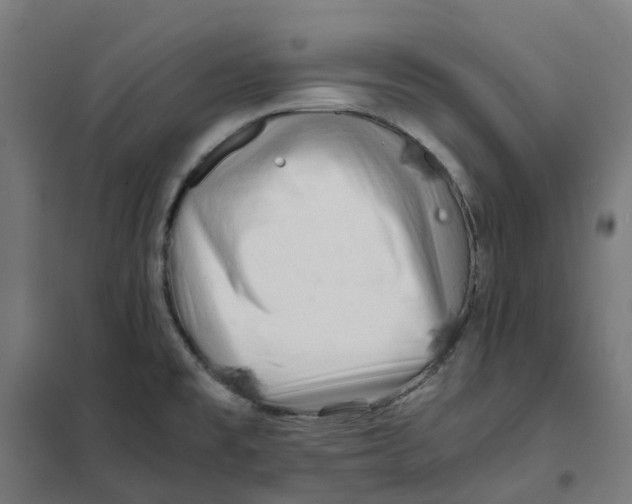 X0000101711477200808071211