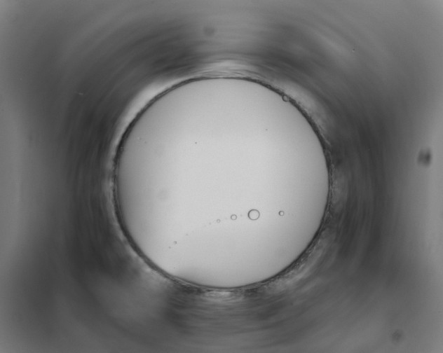 X0000101711478200808071211