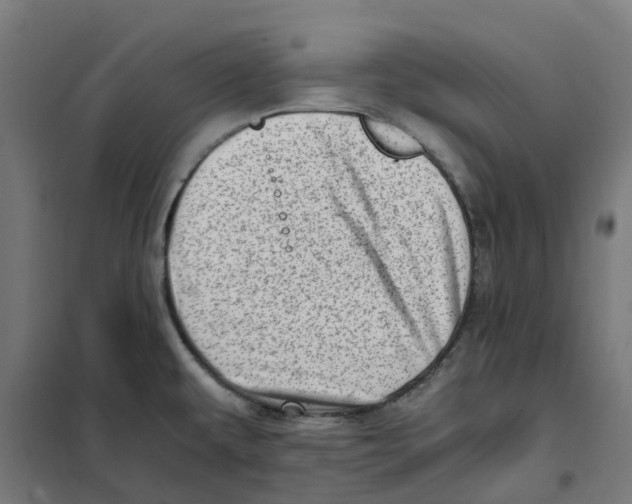 X0000101711479200808071211
