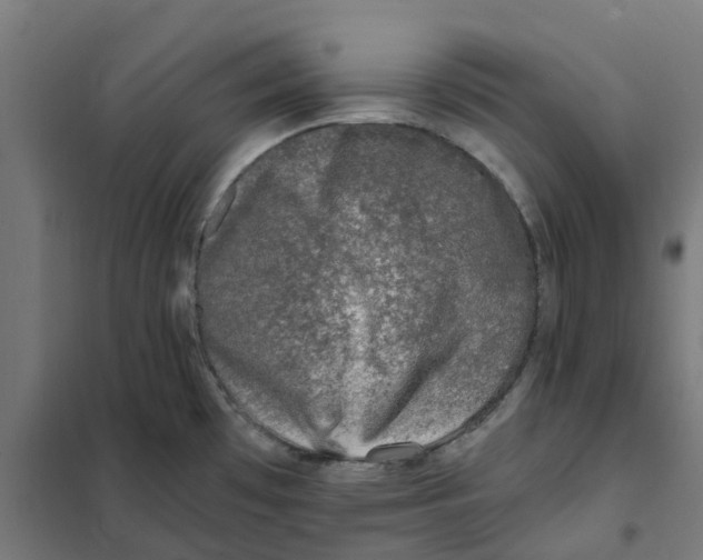 X0000101711481200808071211