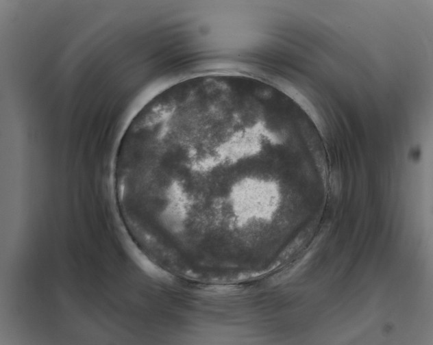 X0000101711482200808071211