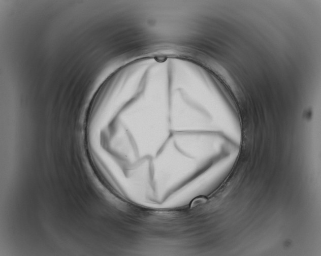 X0000101711483200808071211