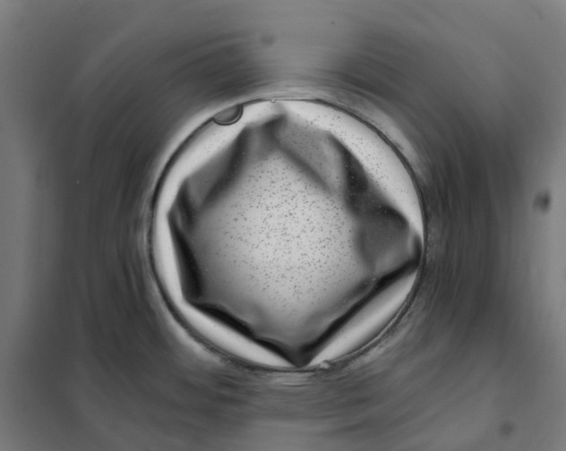 X0000101711484200808071211