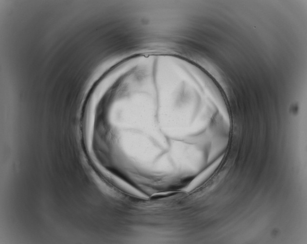 X0000101711485200808071211