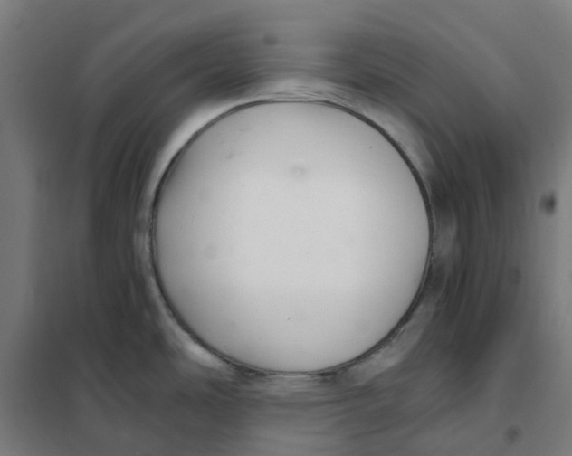 X0000101711486200808071211