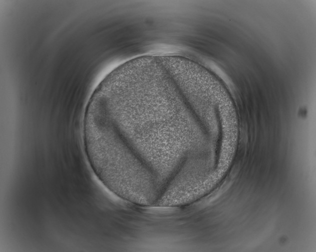 X0000101711487200808071211