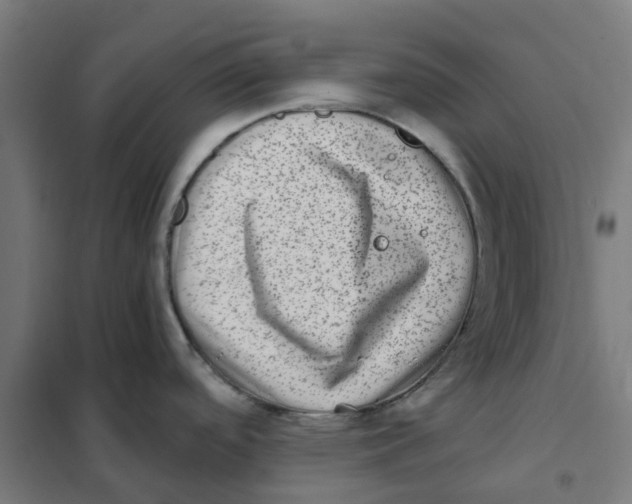 X0000101711488200808071211