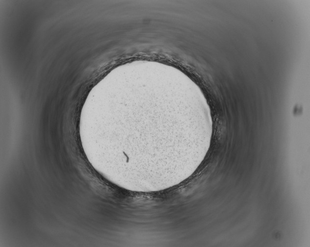 X0000101711489200808071210