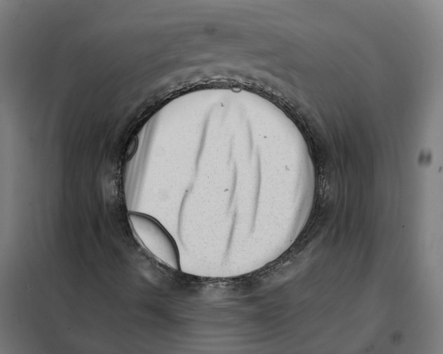 X0000101711490200808071210