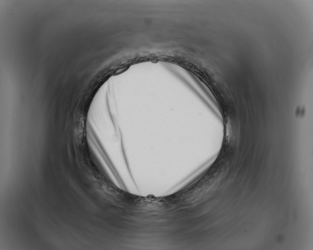 X0000101711492200808071210