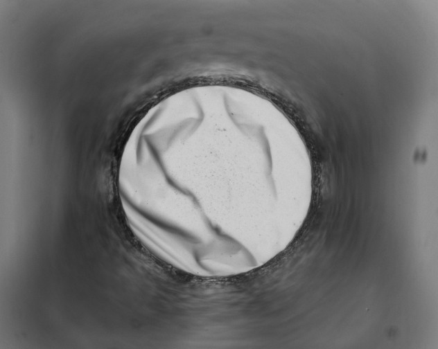 X0000101711493200808071210