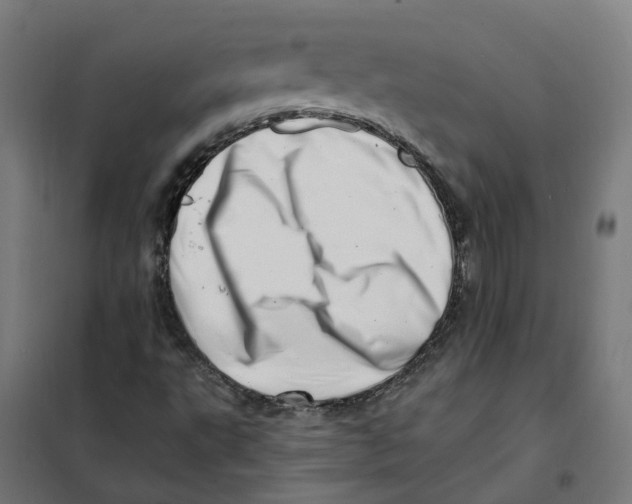 X0000101711495200808071210