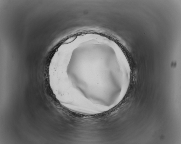 X0000101711496200808071210
