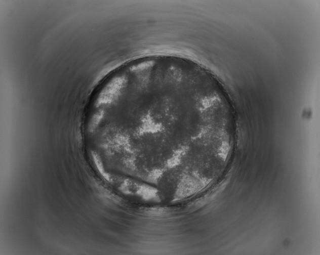 X0000101711497200808071210