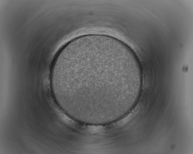 X0000101711498200808071210